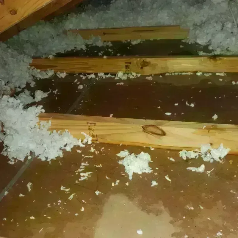 Attic Water Damage in Webster, NH